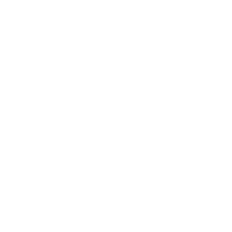 AES Logo