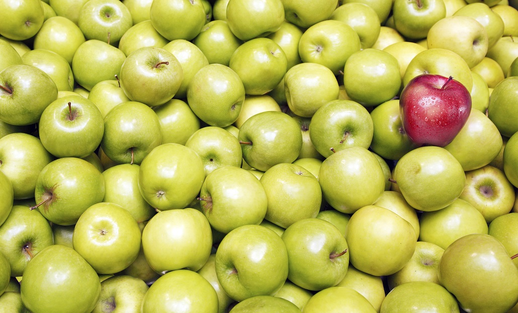 One red apple in a pile of green apples