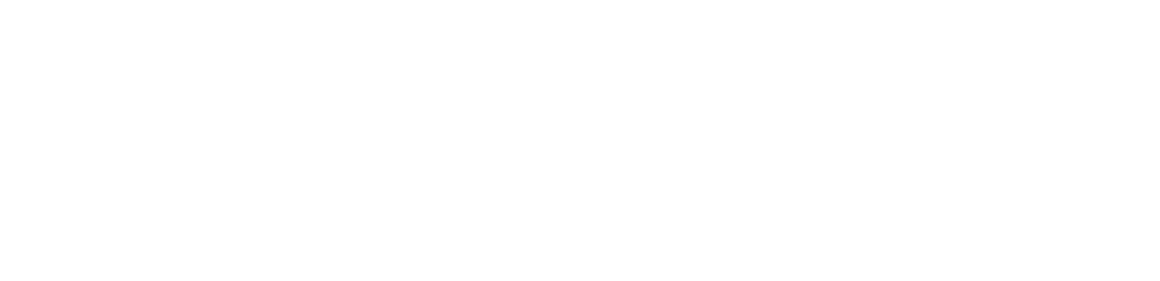 MEFA Logo